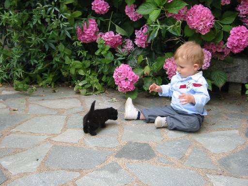 Kerian 48 Il y avait un petit chat chez Papi et Mamie